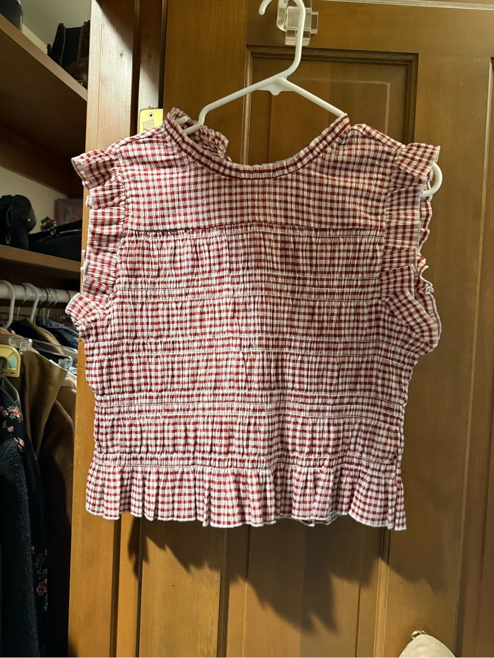 Zara Red Gingham Smocked Ruffle Sleeve Top